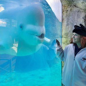 Meet your Posher, Jeani